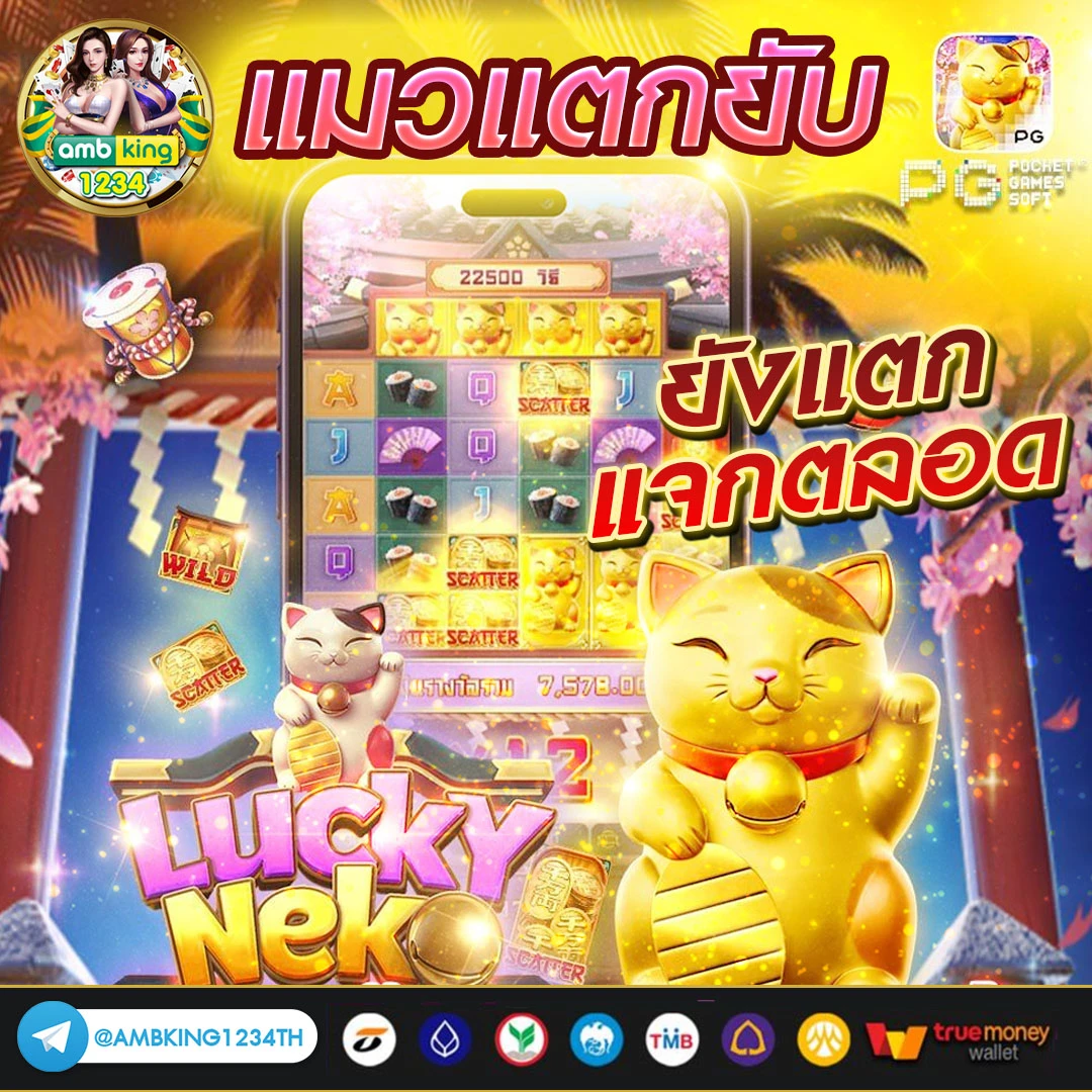 ไทเกอร์ 789 - แบนเนอร์โปรโมชั่น
