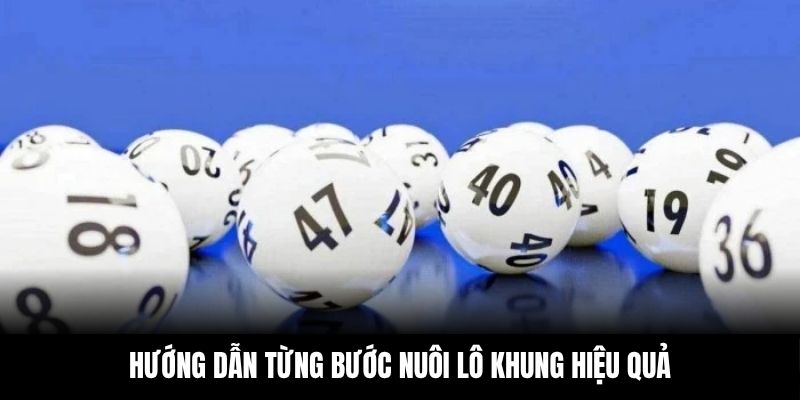 Thành viên áp dụng từng bước nuôi lô khung để tối ưu cơ hội trúng