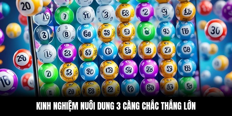 Kinh nghiệm nuôi dung 3 càng chắc thắng lớn
